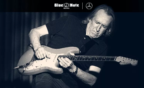 һֱ昷(du): Michael LandauL|Fender